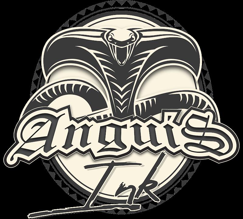 Anguis Ink - Photo 2